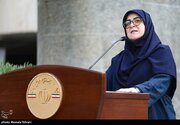 ببینید | مهاجرانی: دیدار رئیس جمهور با رهبری نشانه یکدلی و وحدت است